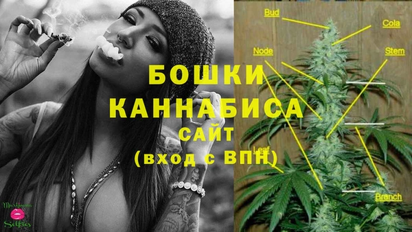 стафф Аркадак