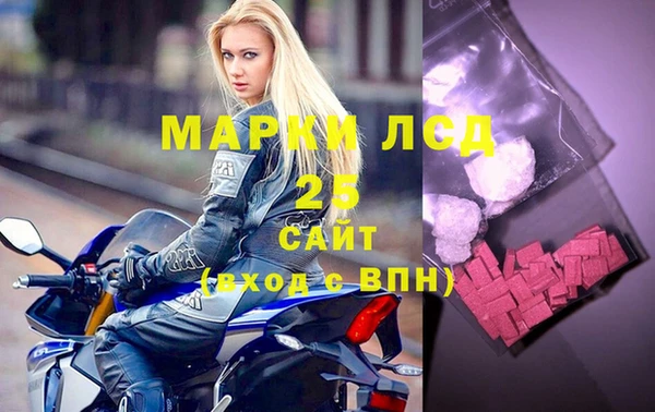 стафф Аркадак